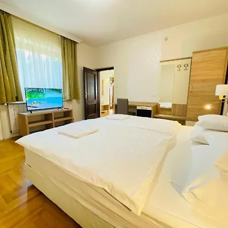 Mikes Apartment Balatonfured