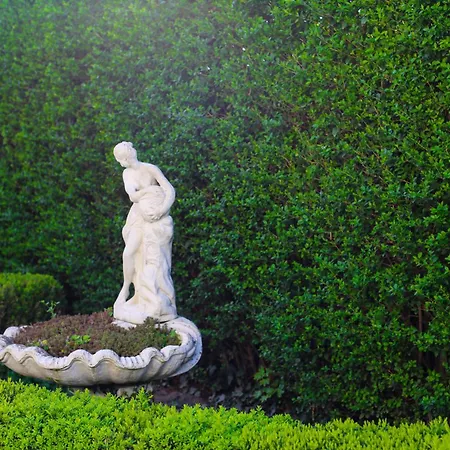 아파트 Mikes 블로톤퓌레드